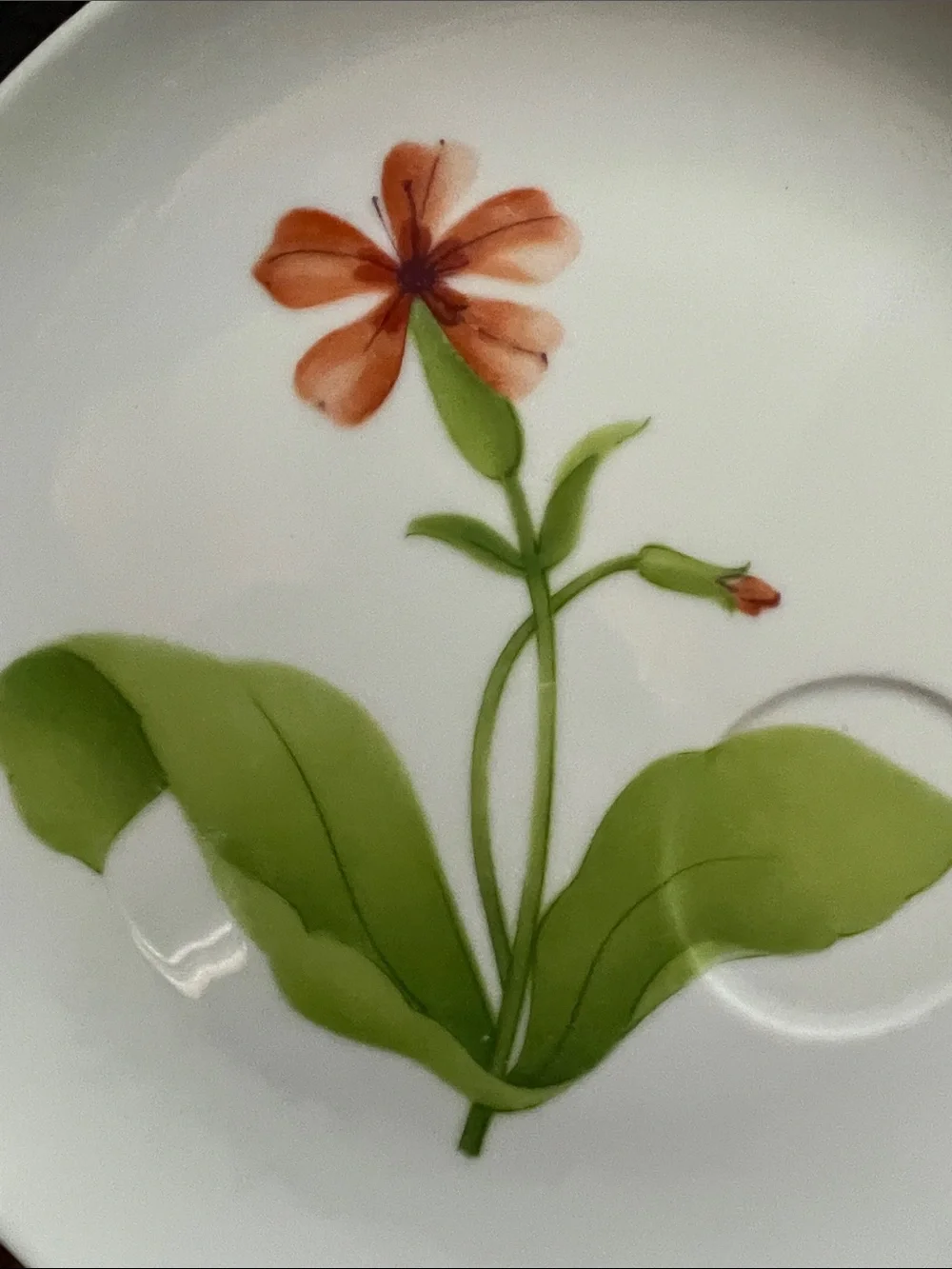 Tuileries Fine China Toscany Replacement Luncheon Plate